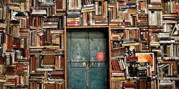 Bücherwand umrahmt eine alte Tür