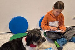 Kind liest Hund vor